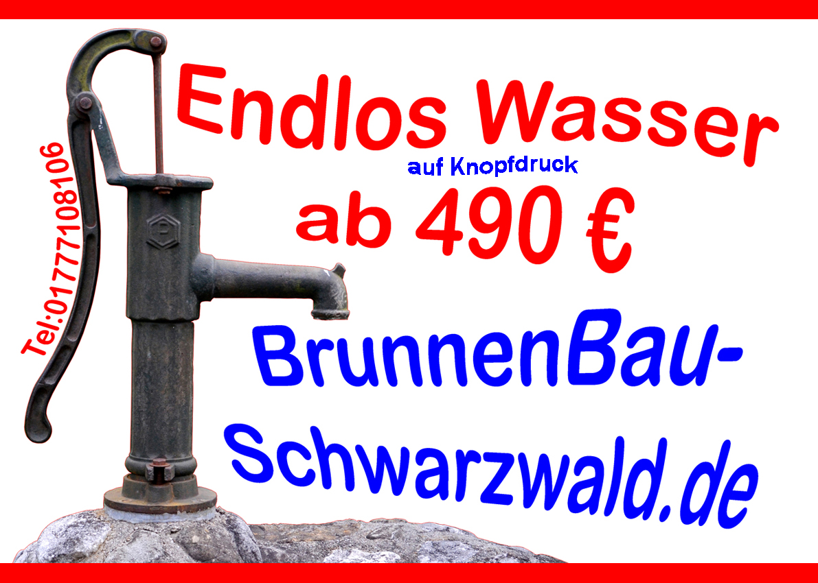 Brunnenbauer-schwarzwald.de website preview